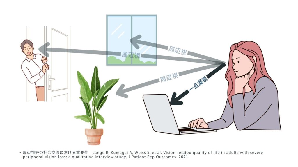 周辺視の図【ヘルスケアAI・PoCレポート】コクヨ_アドダイス_オフィス環境の変化が働く人に与える影響について、AIで可視化する実証実験を実施